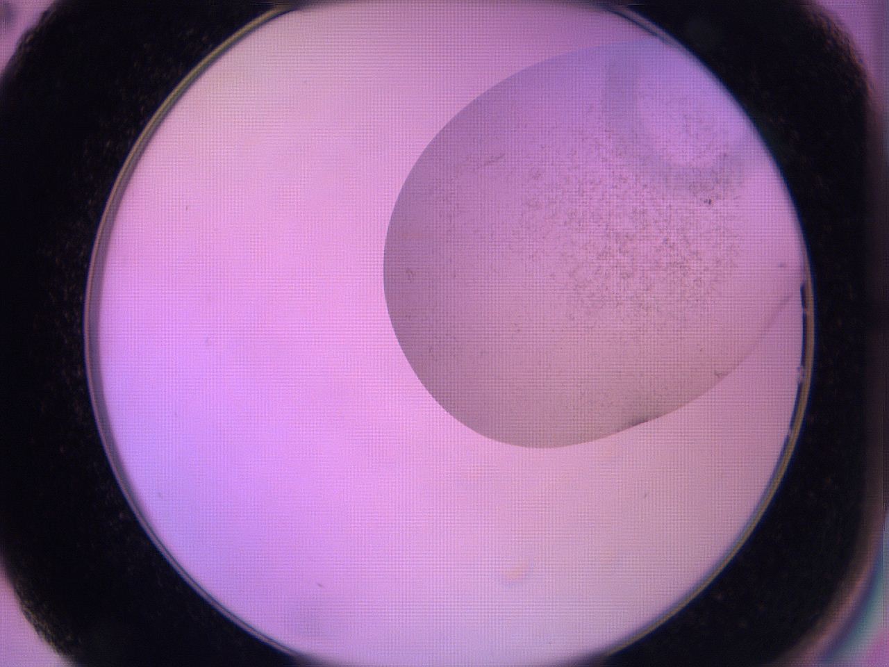 060u_B2_ImagerDefaults_3.jpg