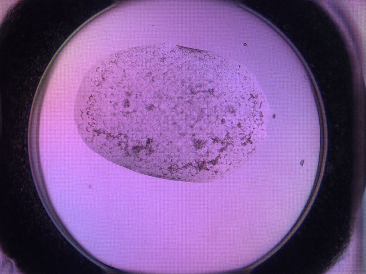 060u_D11_ImagerDefaults_3.jpg