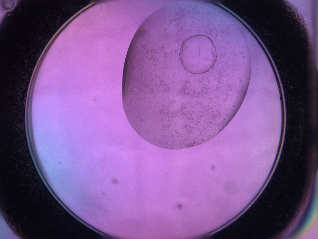 060u_D11_ImagerDefaults_5.jpg