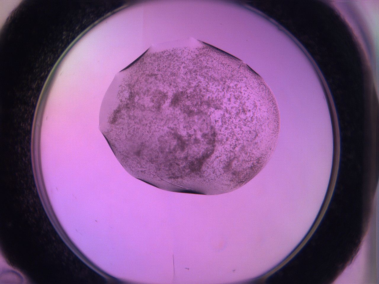 060u_D10_ImagerDefaults_3.jpg