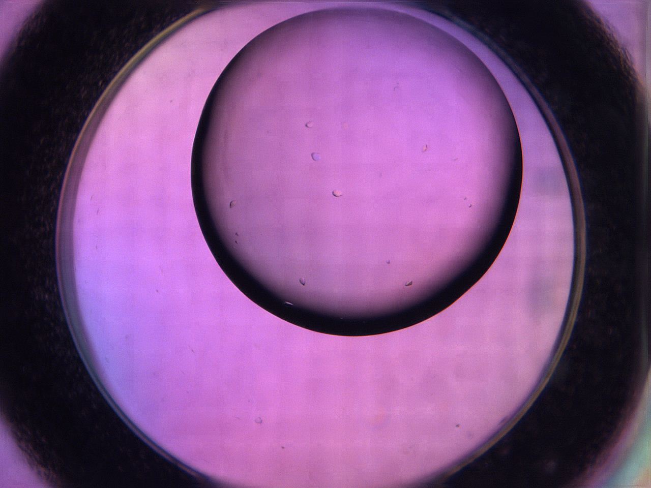 060u_D8_ImagerDefaults_9.jpg