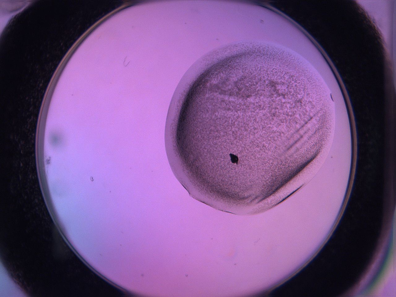 060u_B10_ImagerDefaults_3.jpg