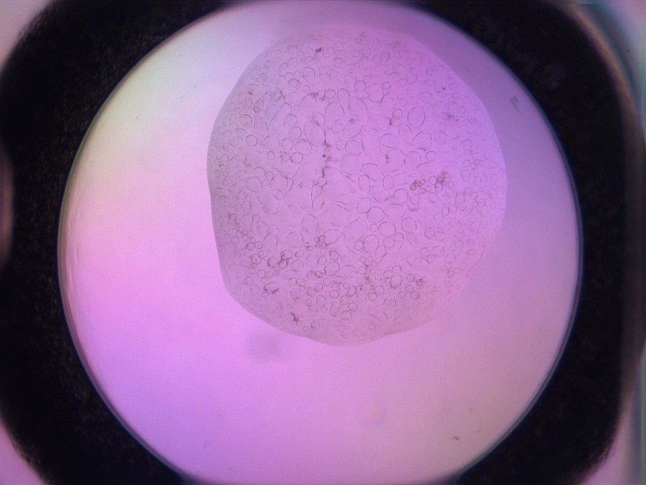 060u_D3_ImagerDefaults_5.jpg