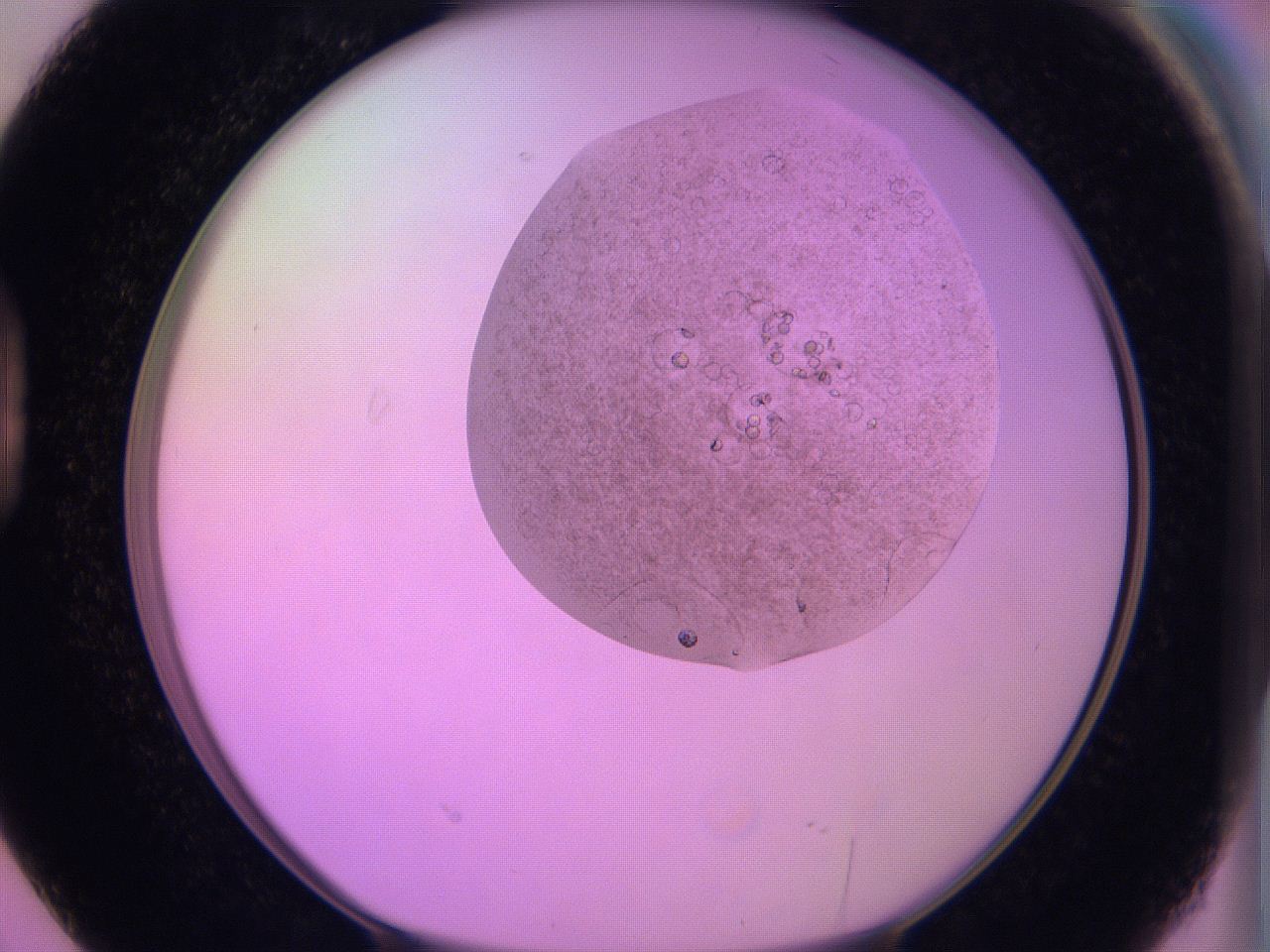 060u_D2_ImagerDefaults_9.jpg