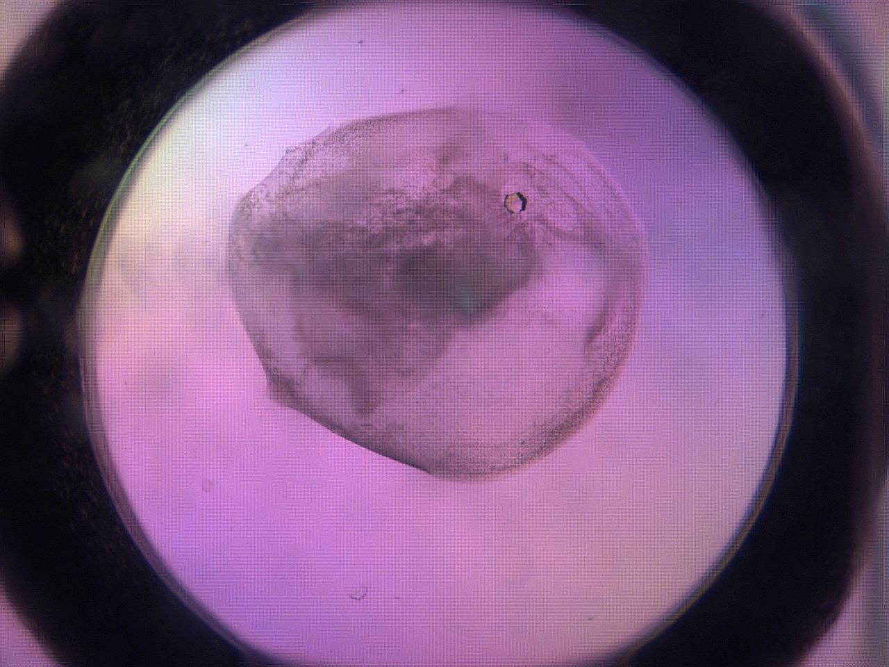 060u_C6_ImagerDefaults_3.jpg