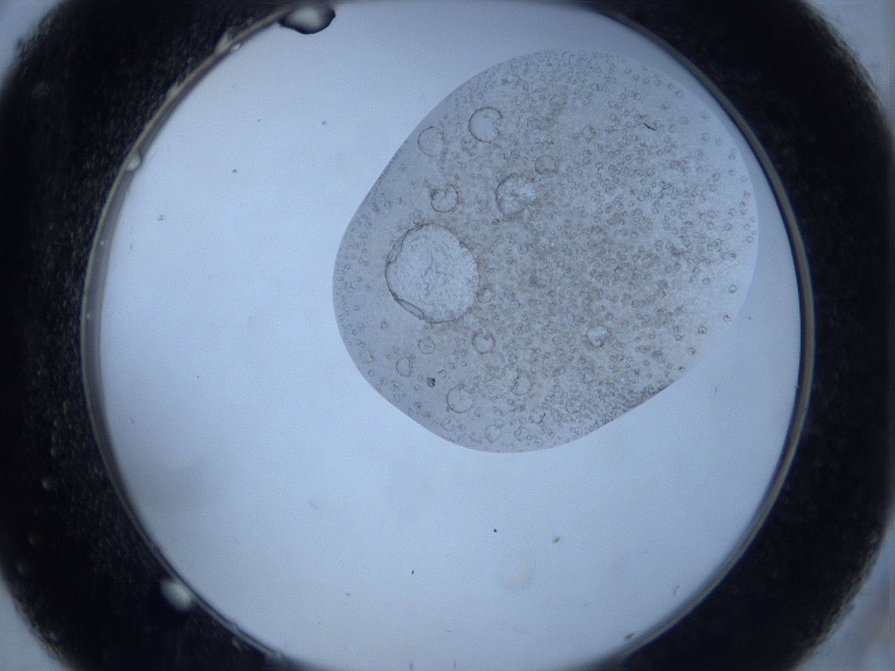 060u_C8_ImagerDefaults_5.jpg