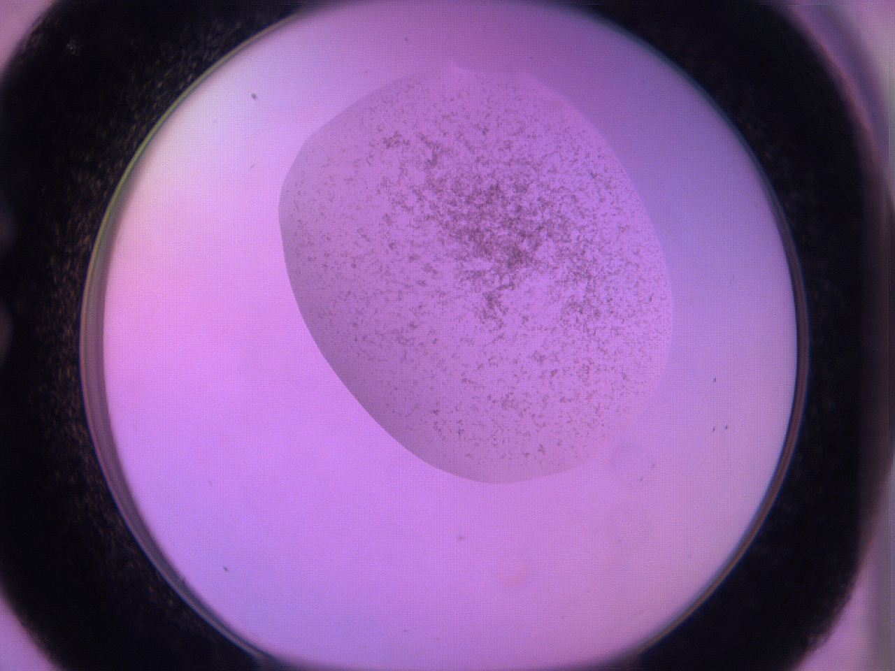 060u_C9_ImagerDefaults_3.jpg