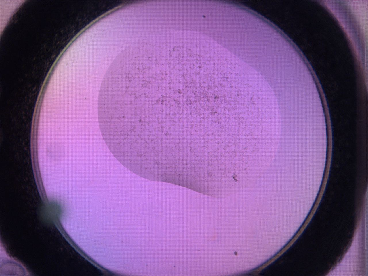 060u_C10_ImagerDefaults_3.jpg