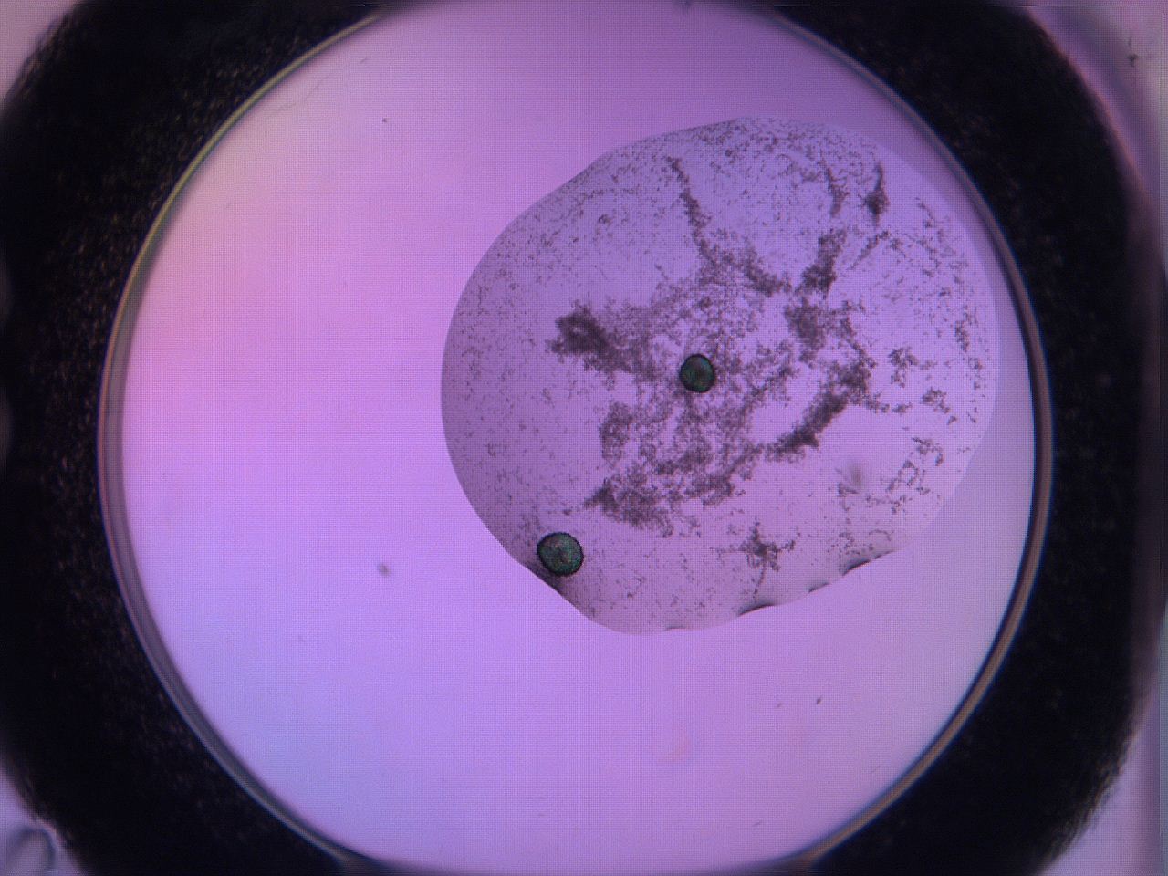 060u_C11_ImagerDefaults_3.jpg
