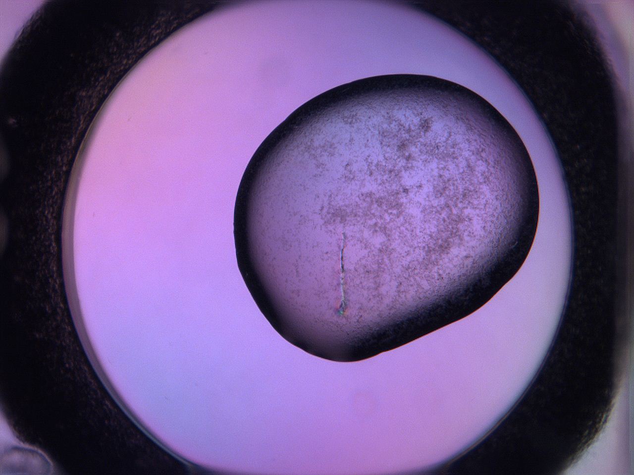 060u_C12_ImagerDefaults_3.jpg