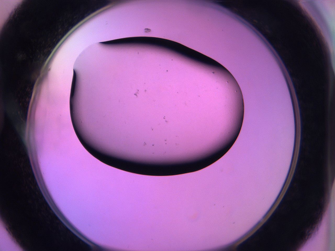 060u_D8_ImagerDefaults_0.jpg