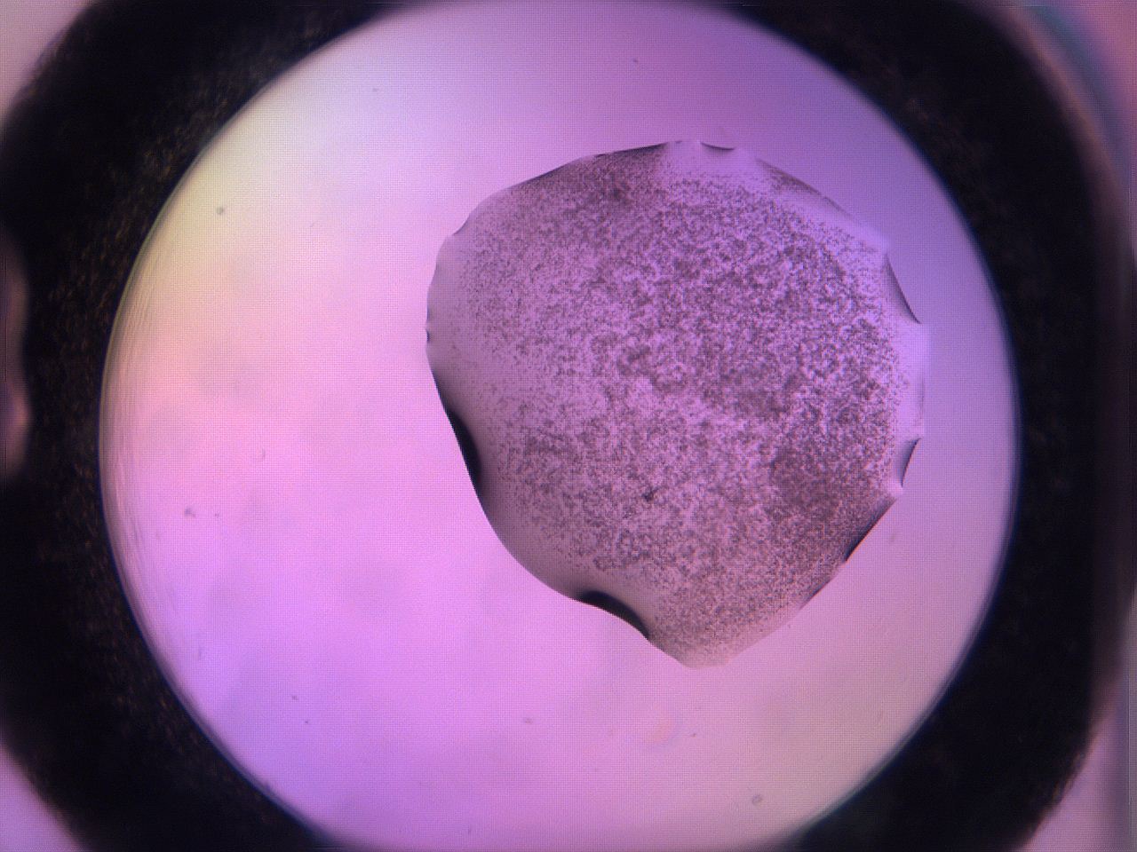 060u_B6_ImagerDefaults_3.jpg