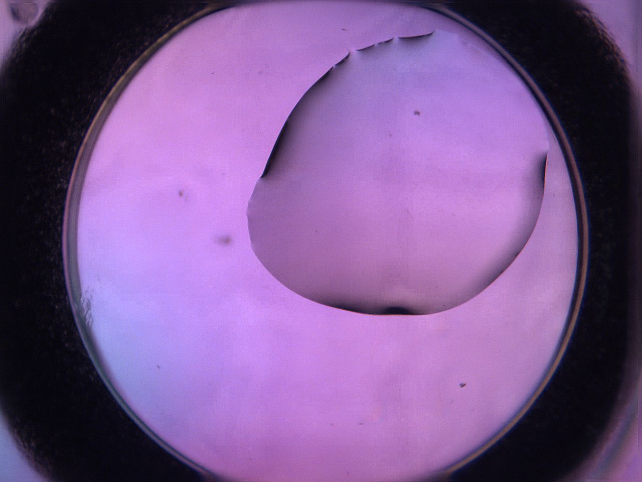 060u_A11_ImagerDefaults_0.jpg