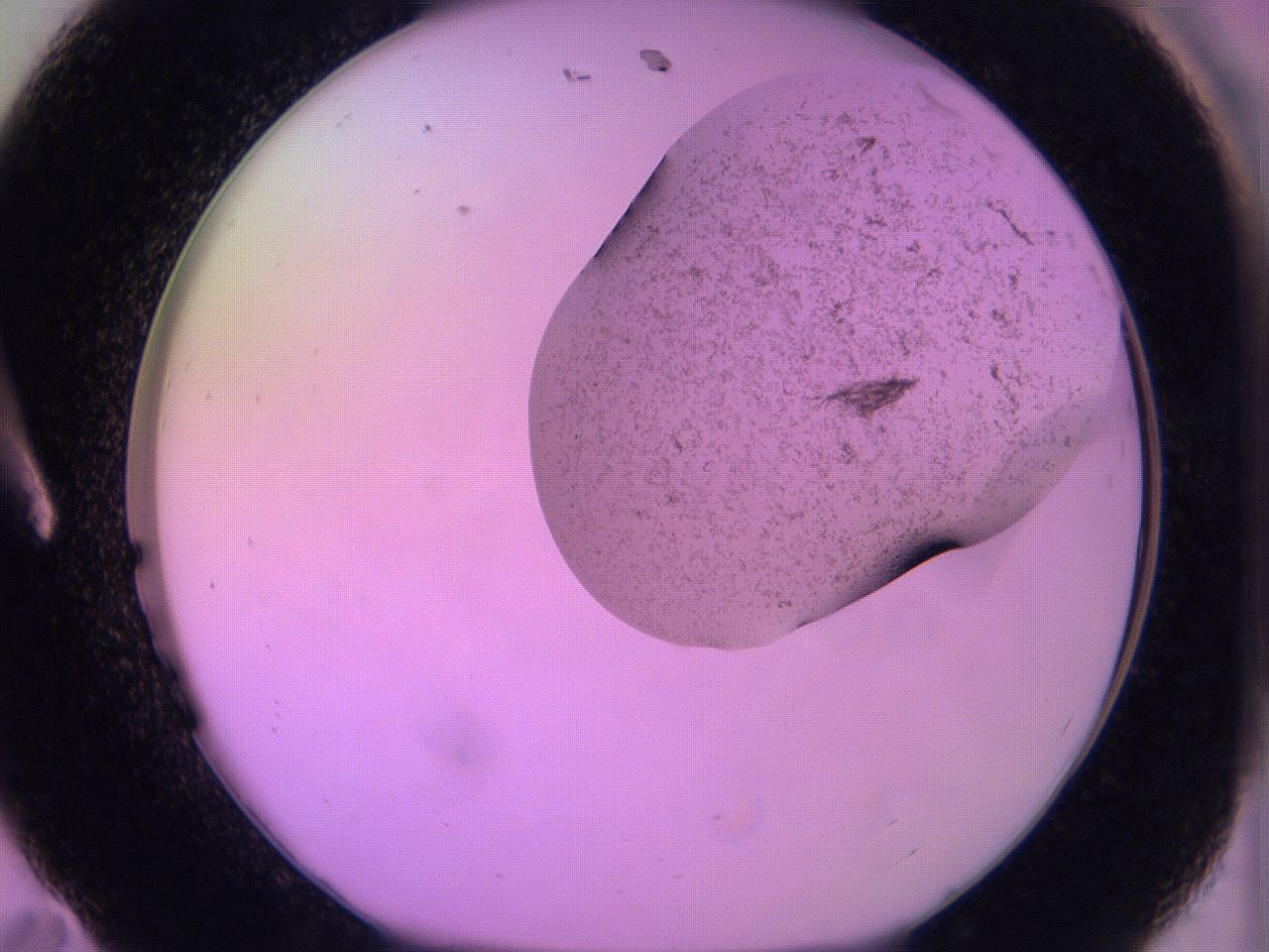 060u_A11_ImagerDefaults_3.jpg