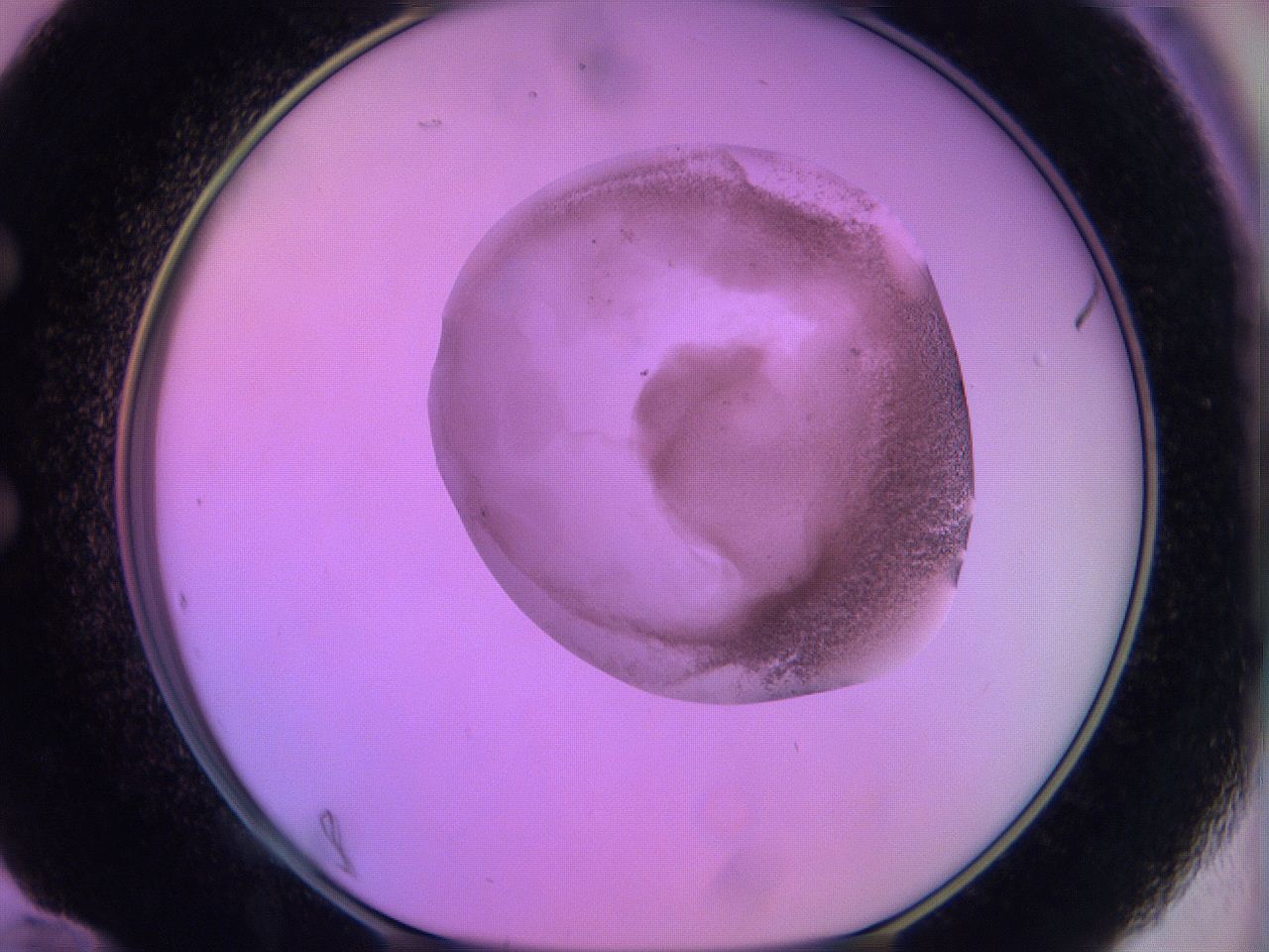 060u_E12_ImagerDefaults_3.jpg