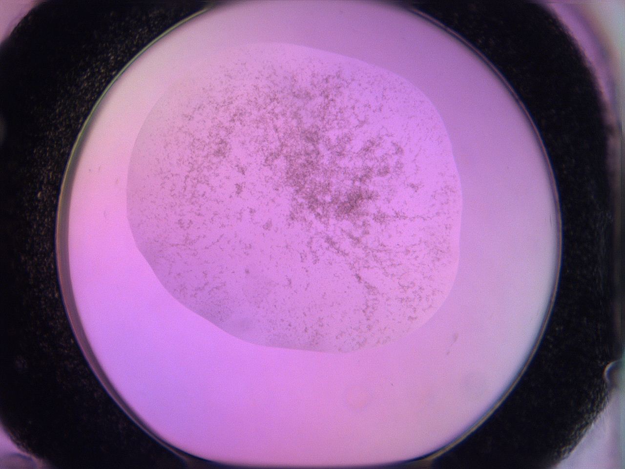 060u_F12_ImagerDefaults_3.jpg