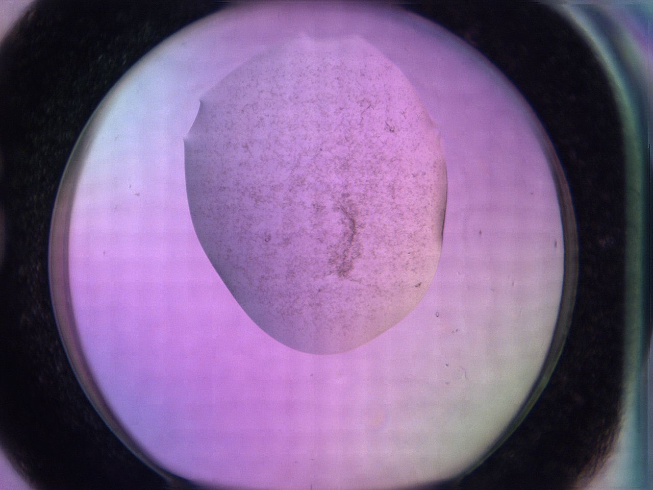 060u_G8_ImagerDefaults_3.jpg