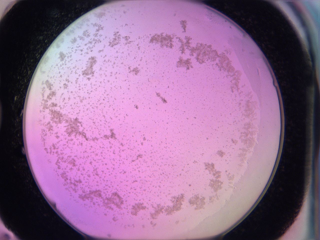 060u_G11_ImagerDefaults_3.jpg