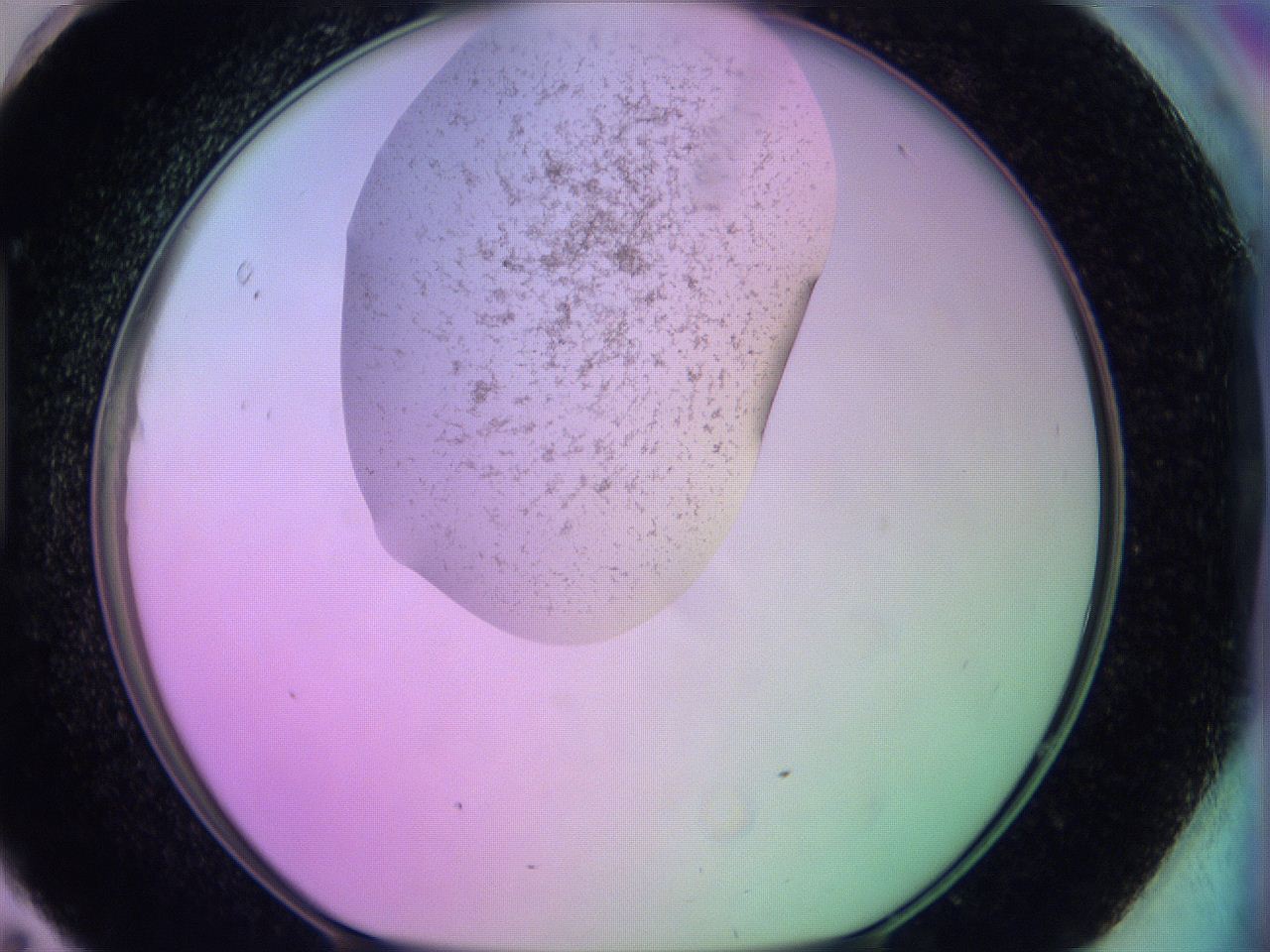 060u_H11_ImagerDefaults_3.jpg
