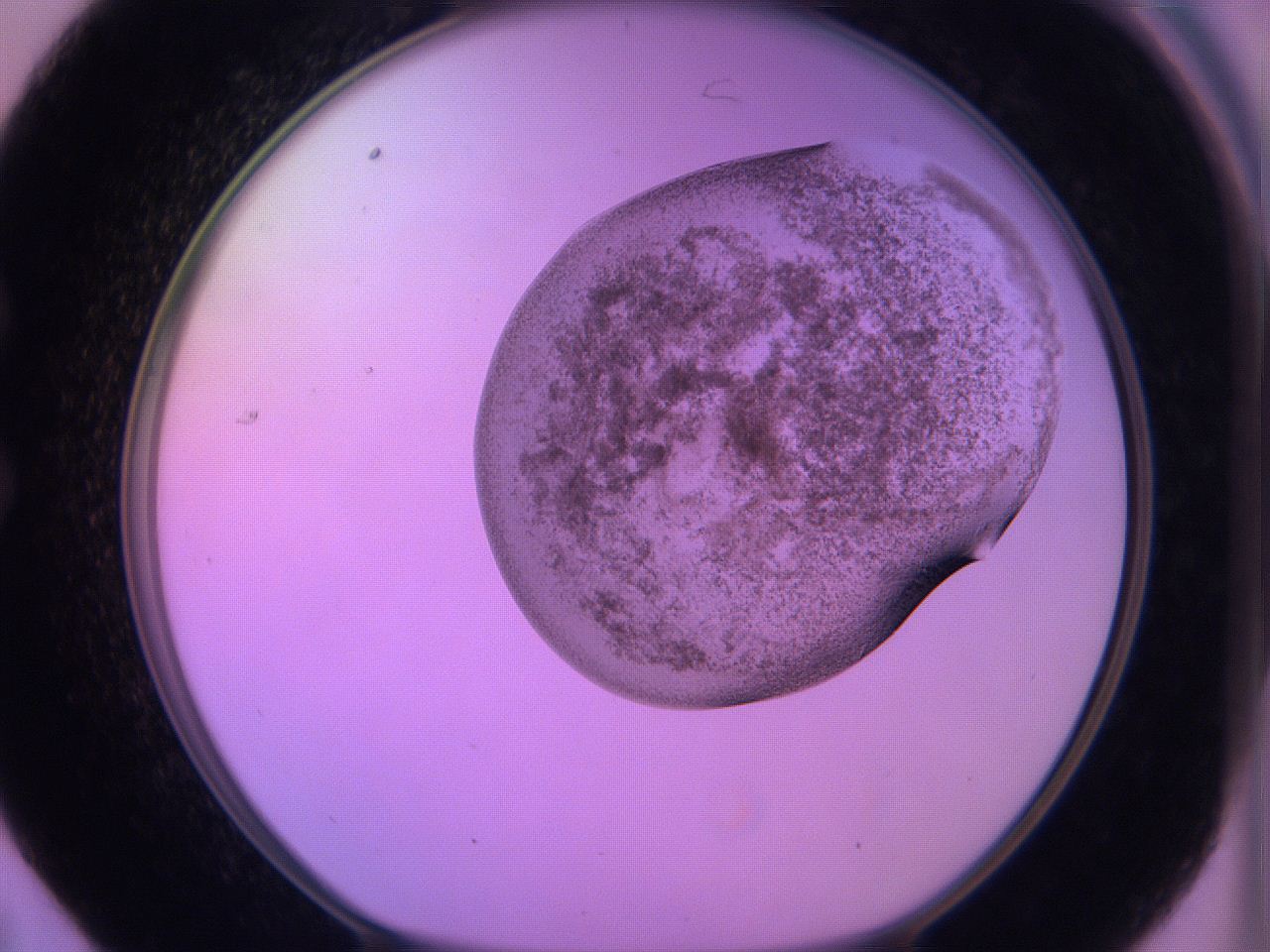 060v_C7_ImagerDefaults_3.jpg