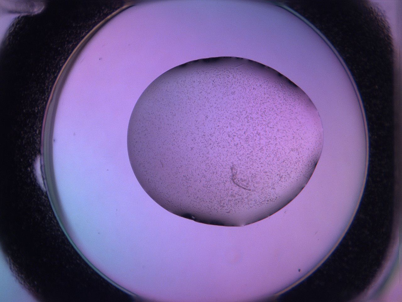 060v_B12_ImagerDefaults_3.jpg