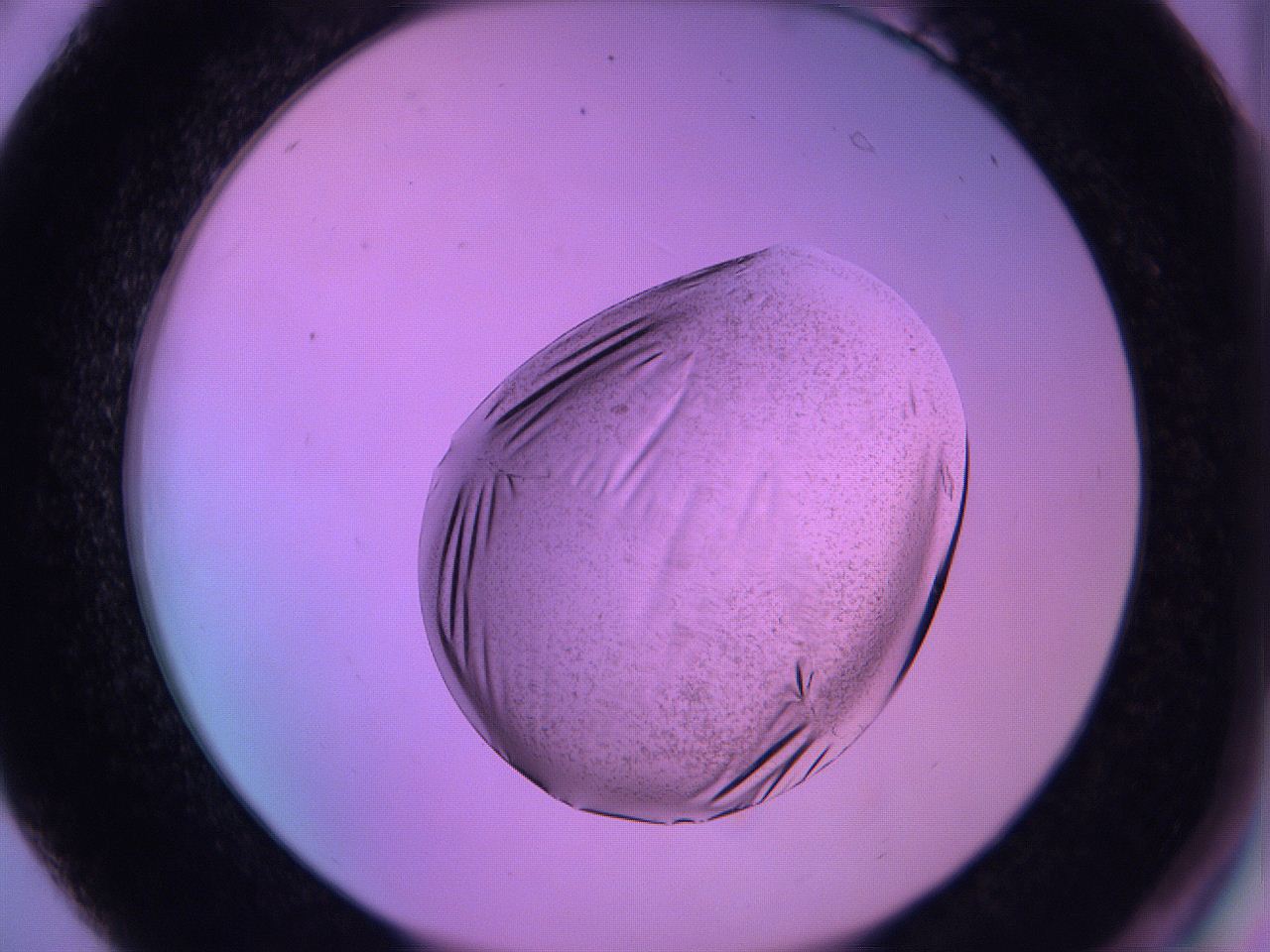 060v_B6_ImagerDefaults_3.jpg