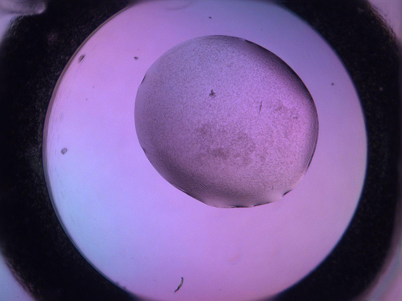 060v_A12_ImagerDefaults_3.jpg