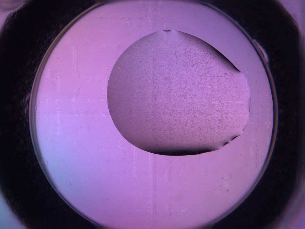 060v_A10_ImagerDefaults_3.jpg