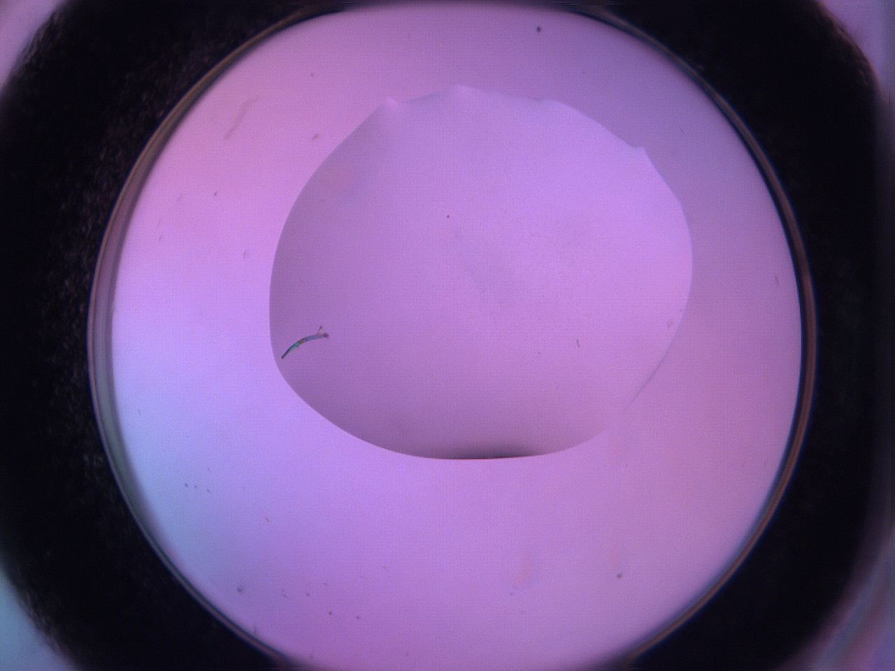 060v_A8_ImagerDefaults_0.jpg