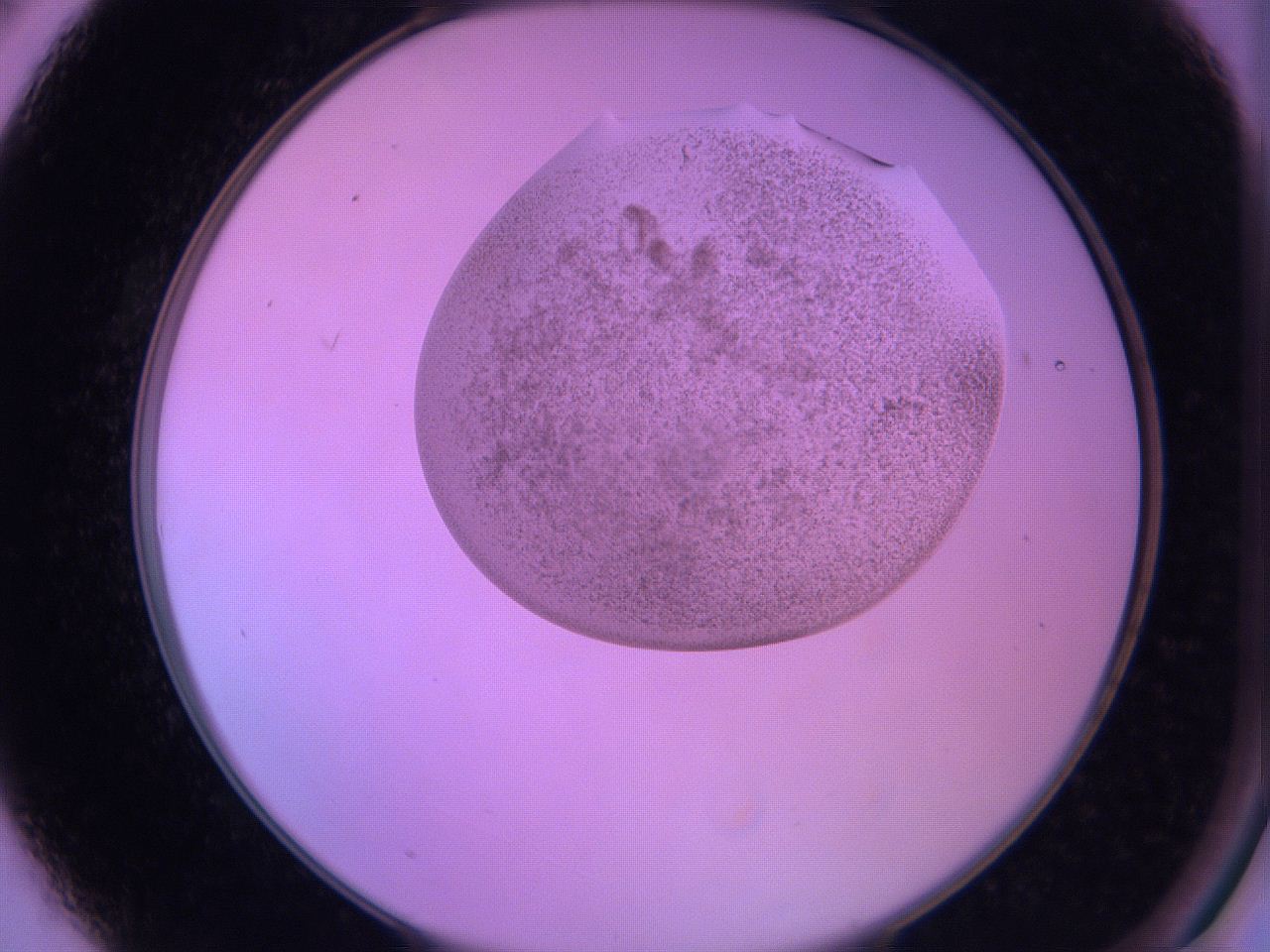 060v_A3_ImagerDefaults_3.jpg