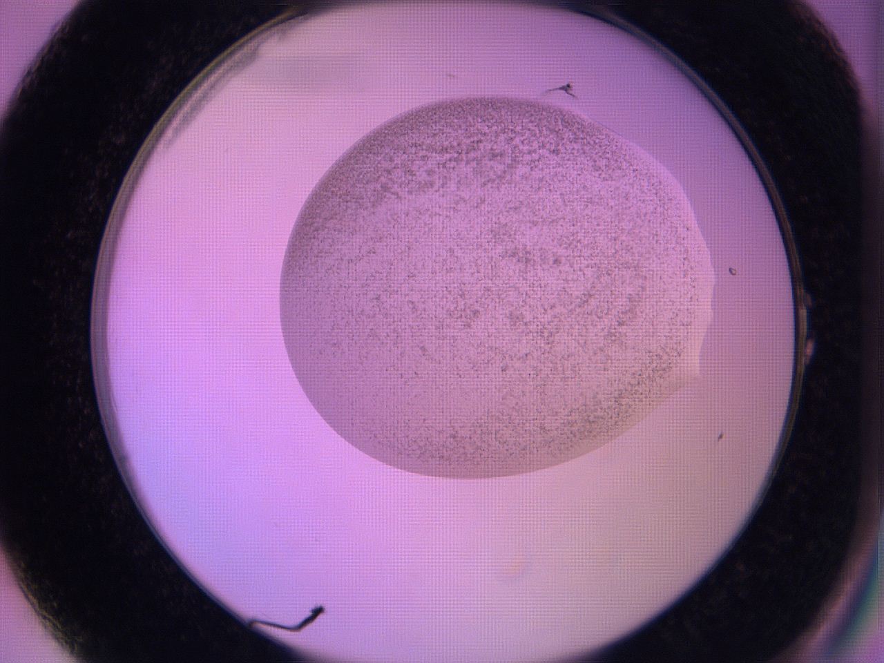 060v_A1_ImagerDefaults_3.jpg