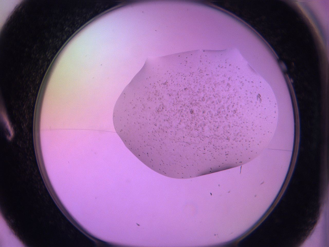 060v_A7_ImagerDefaults_6.jpg