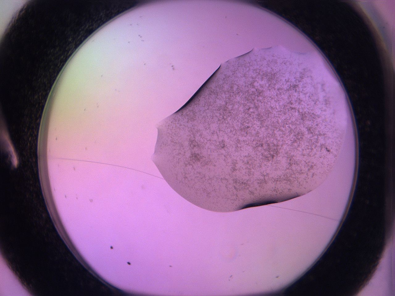 060v_A8_ImagerDefaults_3.jpg