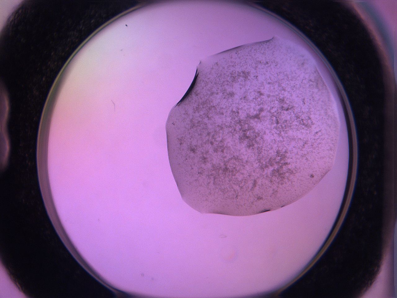 060v_B3_ImagerDefaults_3.jpg