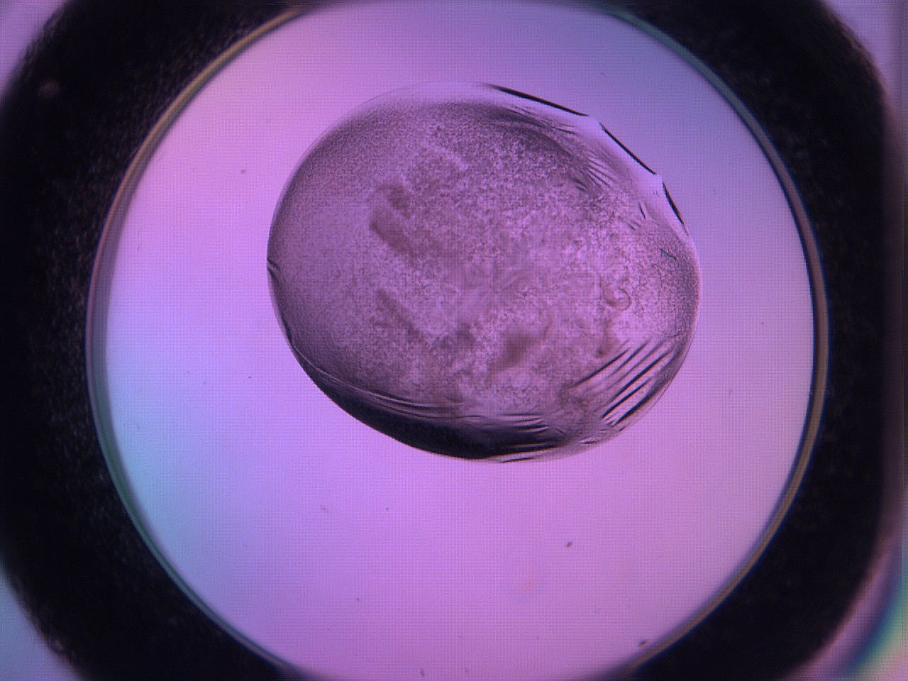 060v_C8_ImagerDefaults_3.jpg