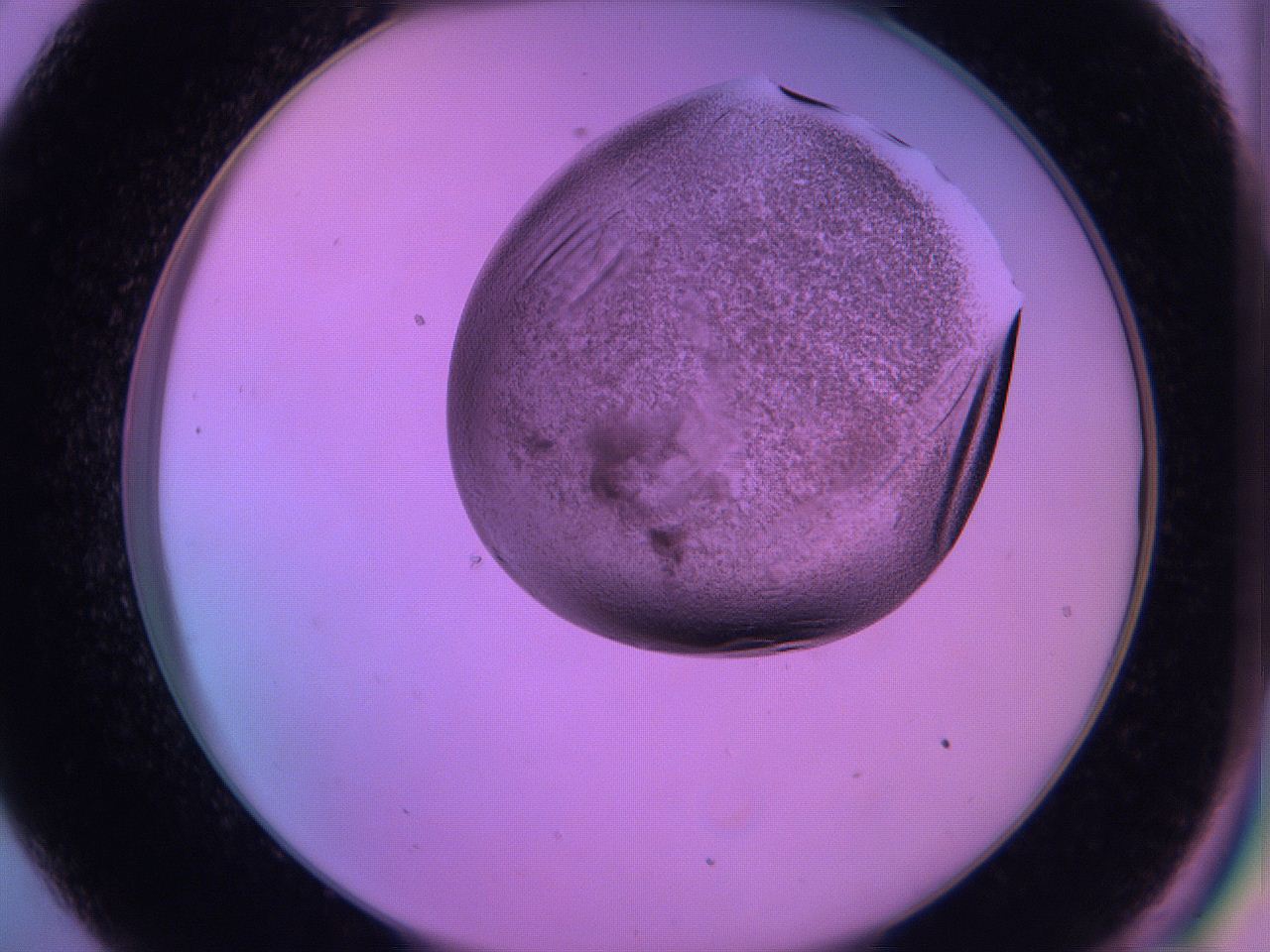 060v_C9_ImagerDefaults_3.jpg