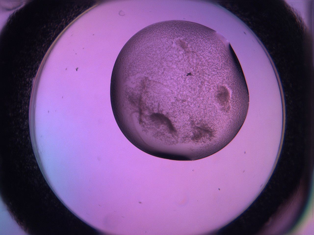 060v_C10_ImagerDefaults_3.jpg