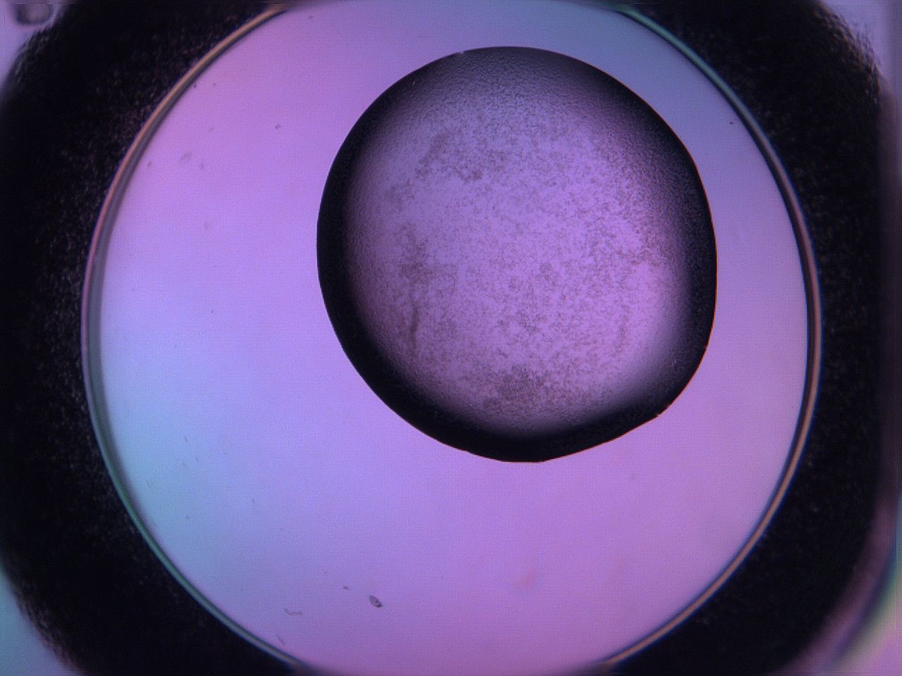 060v_C11_ImagerDefaults_3.jpg