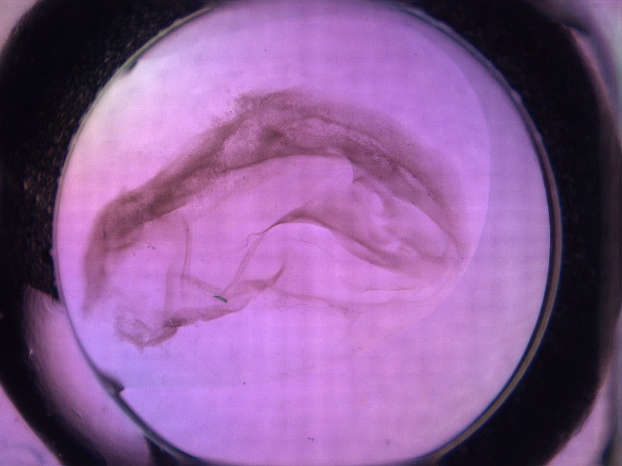 060v_D10_ImagerDefaults_3.jpg