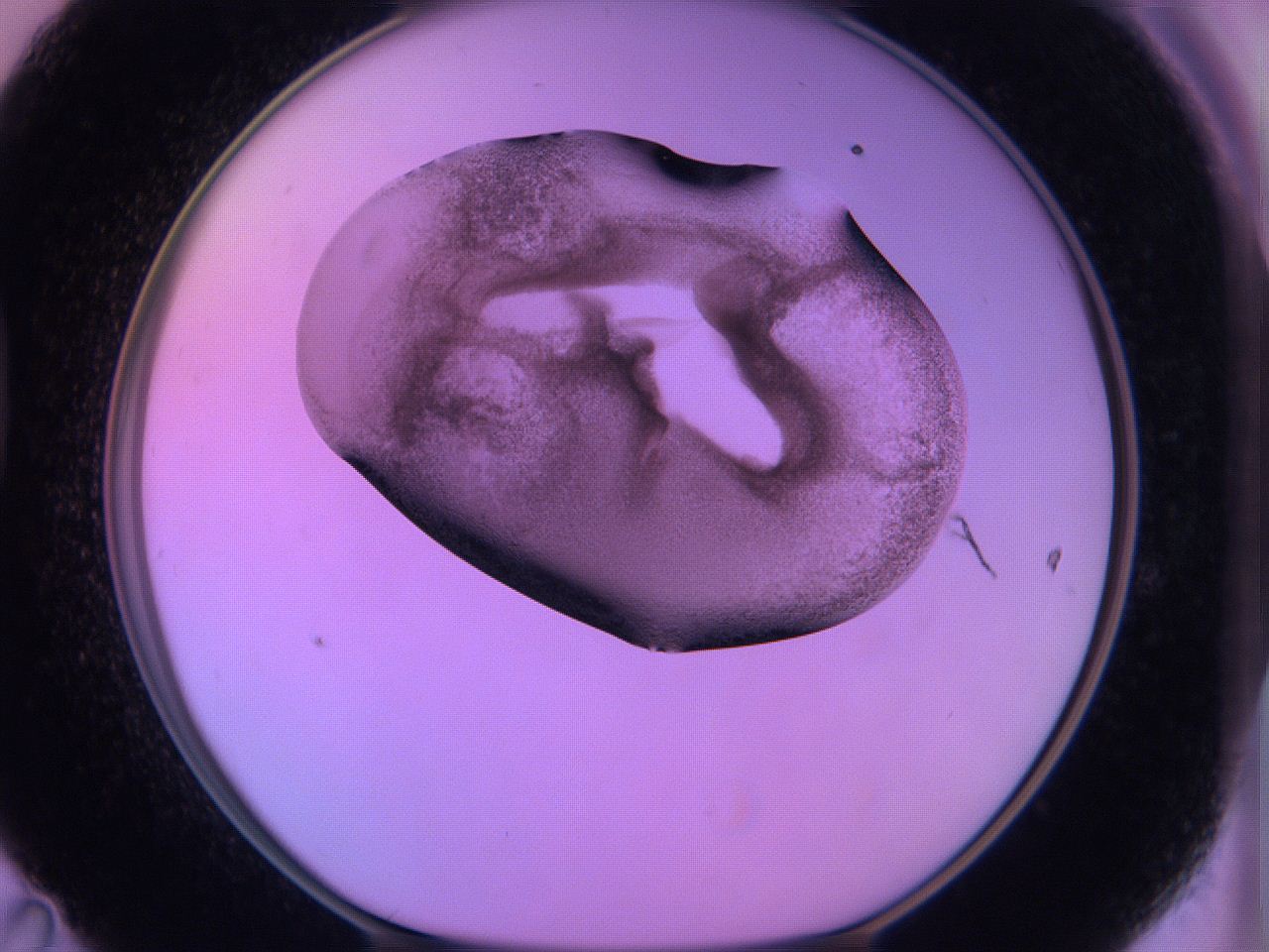 060v_D11_ImagerDefaults_3.jpg