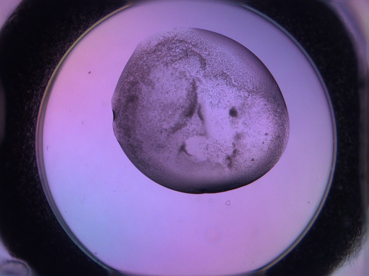 060v_D12_ImagerDefaults_3.jpg