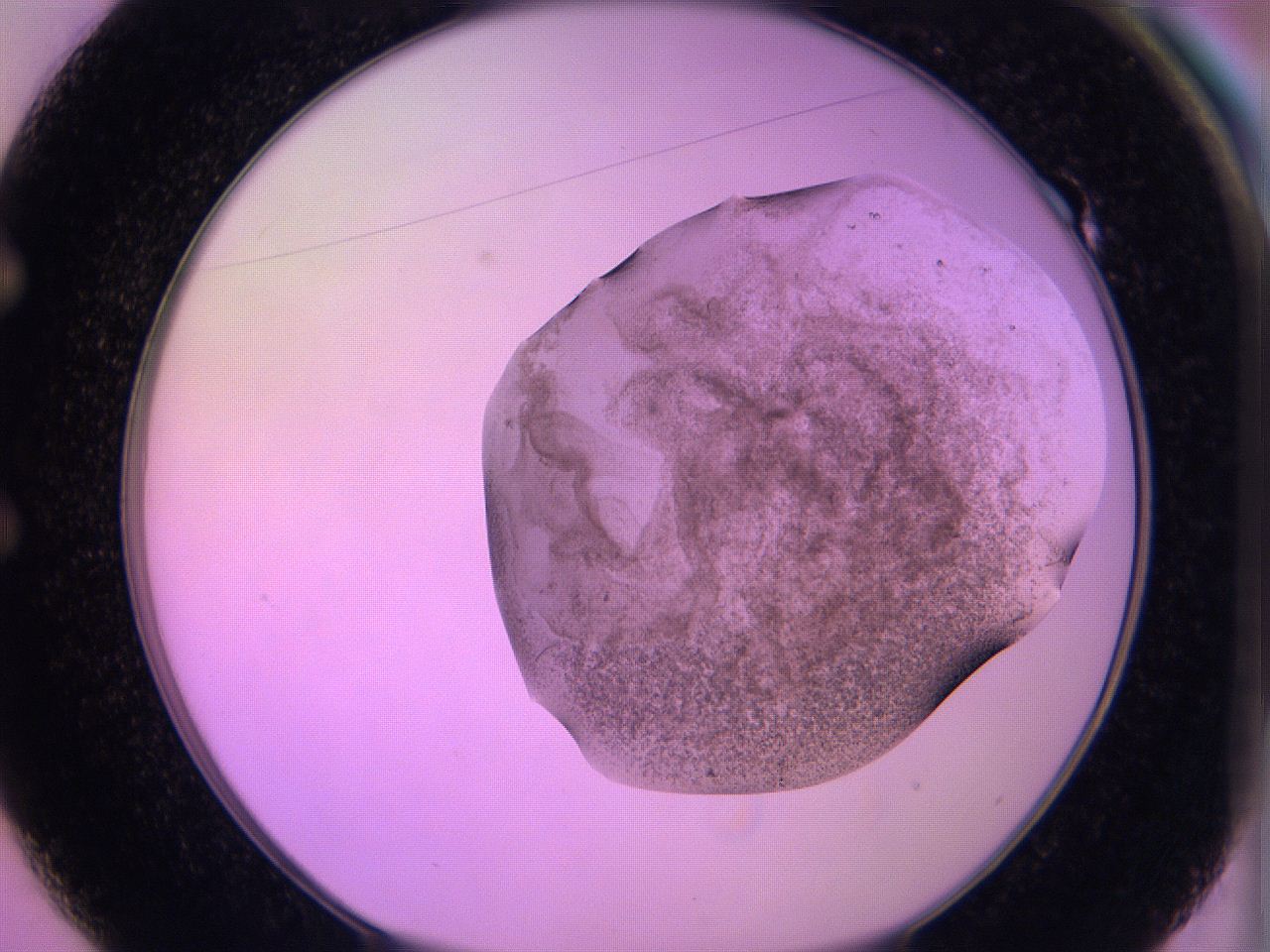 060v_E1_ImagerDefaults_3.jpg