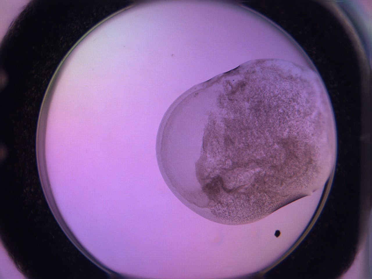 060v_E2_ImagerDefaults_3.jpg