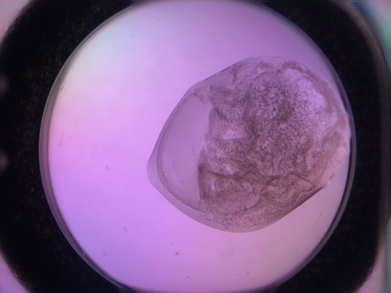 060v_E3_ImagerDefaults_3.jpg