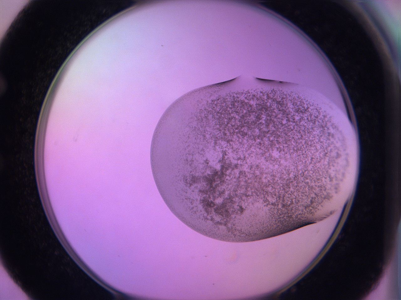 060v_E4_ImagerDefaults_3.jpg