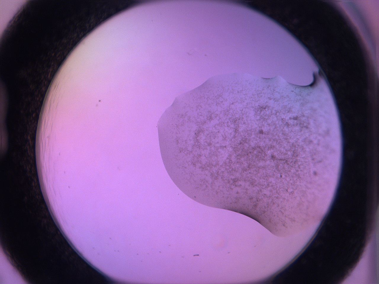 060v_B7_ImagerDefaults_3.jpg