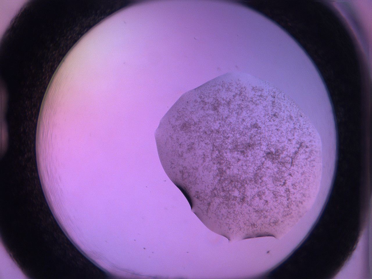 060v_B8_ImagerDefaults_3.jpg