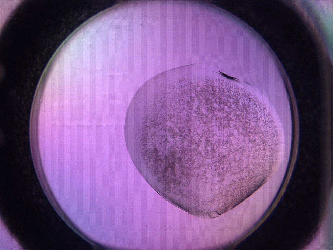 060v_E5_ImagerDefaults_3.jpg