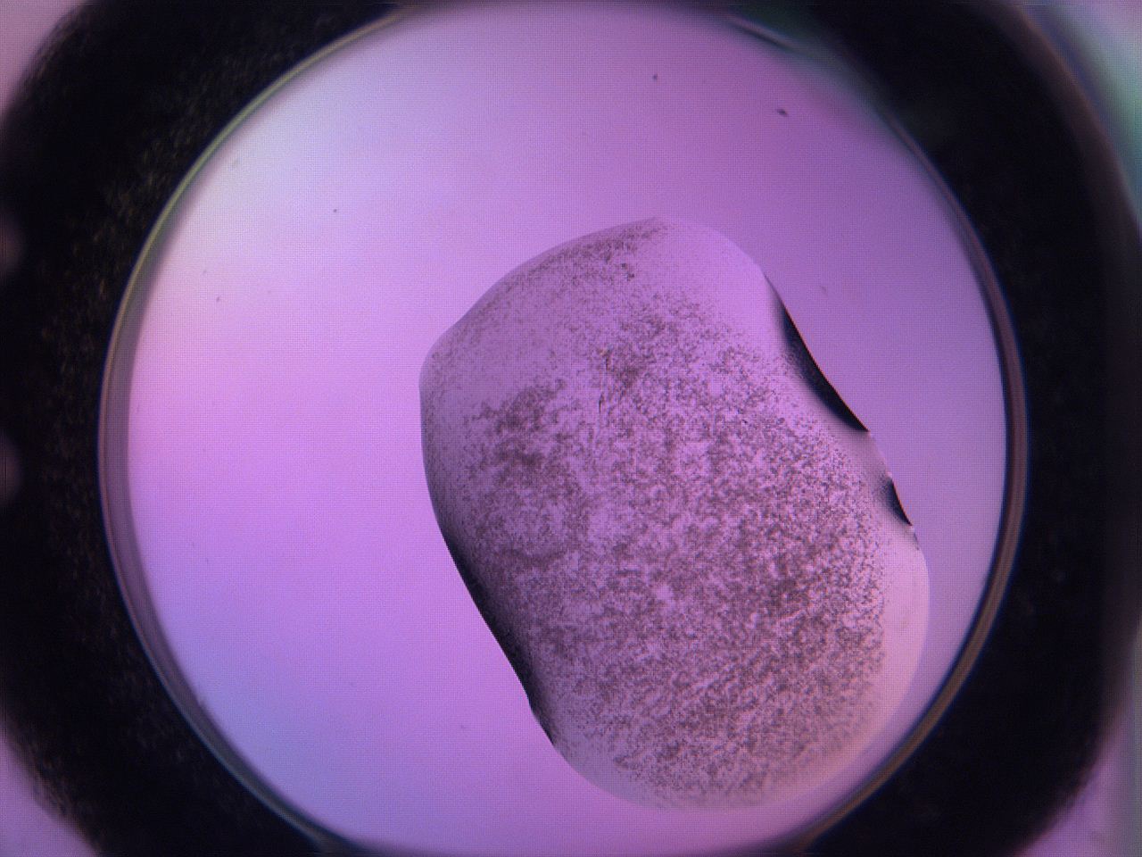 060v_E6_ImagerDefaults_3.jpg