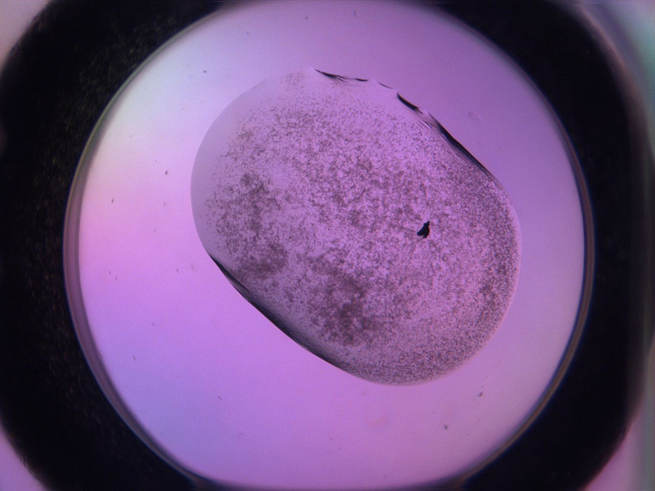 060v_E7_ImagerDefaults_3.jpg